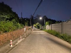 -姚林轩