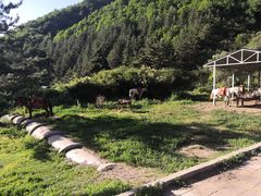 -官滩沟风景区