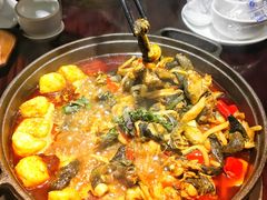 -华华火锅牛蛙(祥宾店)