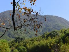 -塔川景区