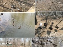 -沈阳鸟岛