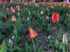 -长春公园(普阳街道)