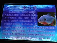 景点-嘉兴海底世界