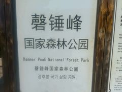 -磬锤峰森林公园