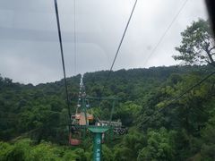 -缙云山景区