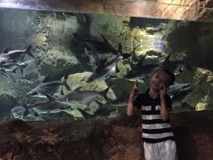 -多彩贵州城极地海洋世界