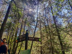 -西姆山居酒店(九寨沟沟口店)