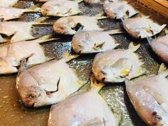 -星伦多自助料理·涮烤一体(虹悦城店)