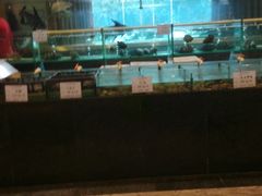-大东方海鲜酒楼(小武基桥店)