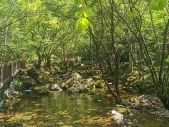 -牛背梁国家森林公园