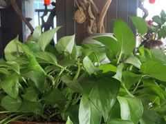 -小柴米·传统江西菜(万寿宫店)