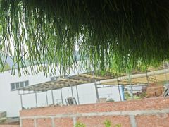 -沣峪口