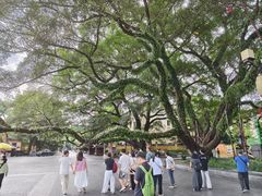 -桂林独秀峰王城景区