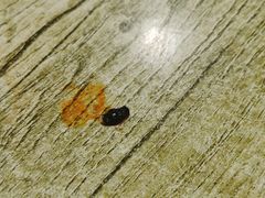 -晋运胡子大盘鸡(南中环店)