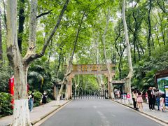 -灵谷景区