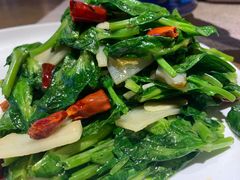 -雀舞云南菜(乐客城店)