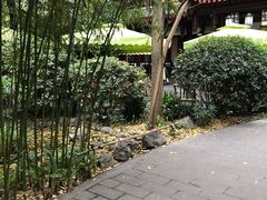 -香园自助小火锅