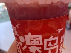 -南澳岛打卡果汁冰公司