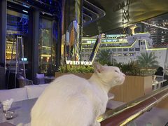 -JK HOUSE(海上世界店)