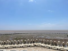 -南汇嘴观海公园