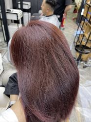 -藤野造型