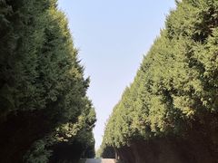 -秦始皇帝陵博物院-丽山园