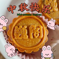 -巍阁高端月子会所