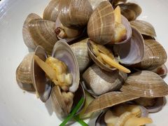 黄蛤-必点海鲜·鲅鱼水饺(鞍山西道店)