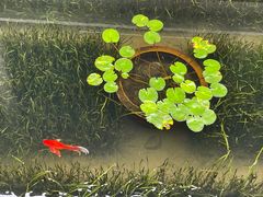 -兰亭风景区