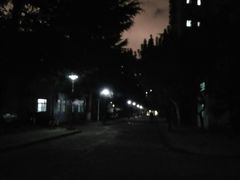 -同济大排档