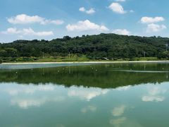 -羊山湖公园