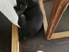 -仰生如卉推拿养生馆(酒仙桥店)