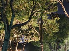 -金桥现代产业园区-停车场