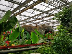 -南宫五洲植物乐园