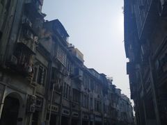 -猫咪博物馆(顶澳仔猫街店)