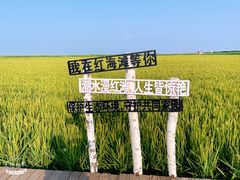 -红海滩国家风景廊道