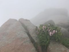 -崂山巨峰游览区