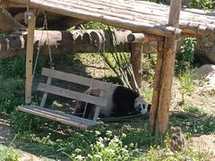 -宁波野生动物园