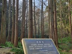 -虎跑公园