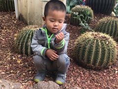-呀路古热带植物园
