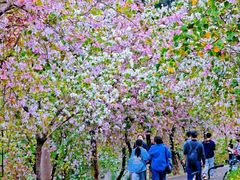 -星湖旅游景区七星岩