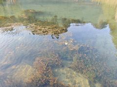 -靖西鹅泉风景区