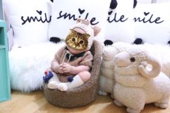 -哈尼Honey baby 儿童摄影(立丰国际公寓店)