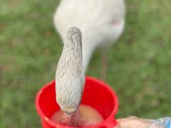-广州长隆野生动物世界
