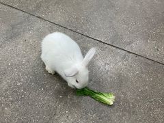 -昆明大悦城未来动物城(螺蛳湾中心店)