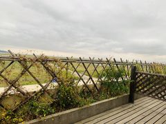 -金山嘴渔村