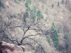 -太行锡崖沟旅游度假区