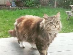 -周素珍湖州大馄饨(直戒坛寺巷店)