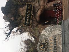-大槐树寻根祭祖园