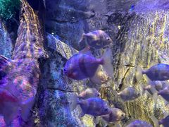 -沈阳海洋探索中心